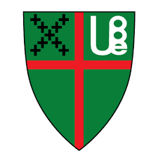UBE Logo Pin